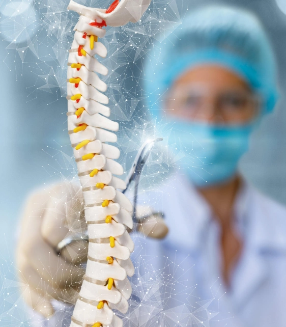 Orthopedic Provider Enrollment